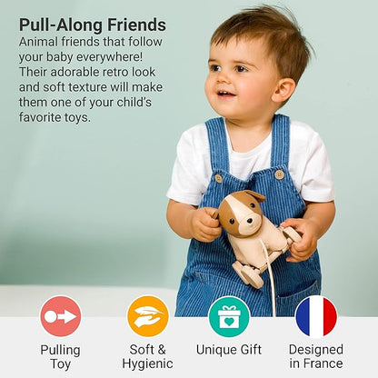 Little Big Friends Dog Pull Toy for Toddlers | Soft Baby Walking Toy with Adjustable Cord | Easy-to-Clean Push & Pull Toy | Adrien The Dog