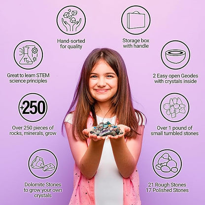 DANCING BEAR Rock, Mineral & Geodes Treasure Hunt Activity Kit (250 Pc Set) Real Shark Teeth Fossils, ID Sheet & Rock Book, STEM