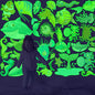 Glow in The Dark Ocean Fish Stickers, 36 PCS Glowing Luminous Sea Life Animals Wall Decals Under The Sea Ceiling Stickers for Kids Boys Girls Bedroom Nursery Playroom Party Room Decor