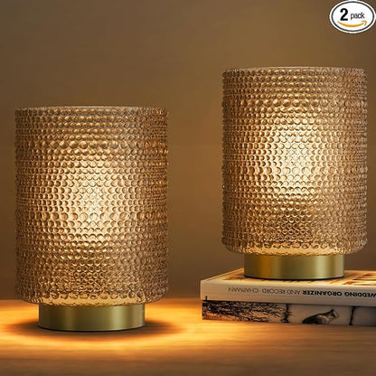 Dolita Battery Operated Glass Lamp, 2-Pack Small Table Lamps with Timer, Bedside Lights for Home Decor Living Room, Office, Bedroom