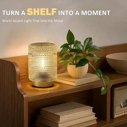 Small Decorative Aesthetic Lamp with Timer for Shelf/Bedside/Coffee Table Decor,Battery Operated Cordless Table Lamps with LED Warm Bulb for Dorm/Office/ Patio/Entryway/Mantle/Table Decor(Clear)