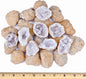Break Your Own Geodes Kit for Kids – 20 Natural Geodes (1.0–1.5”) with Magnifying Glass & Learning Guide – STEM Science Rock Kit for Kids Ages 6–12 – Educational Gift for Classrooms & Parties