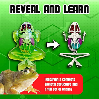 Dissect-It Simulated Synthetic Lab Dissection Toy, STEM Projects for Kids Ages 6 and Up, Animal Science, Biology, Anatomy Home Learning Kit, Great for Young Scientists! – Frog