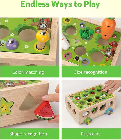Coogam Montessori Fine Motor Toys for Baby Toddler, Wooden Shape Sorter Carrot Harvest Game for Easter Basket Stuffer, Preschool Learning Educational Gift Toy for 3 4 5 Year Old