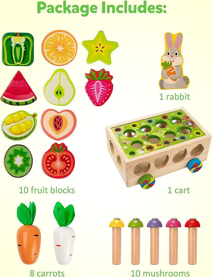 Coogam Montessori Fine Motor Toys for Baby Toddler, Wooden Shape Sorter Carrot Harvest Game for Easter Basket Stuffer, Preschool Learning Educational Gift Toy for 3 4 5 Year Old