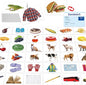 140 Noun Picture-Word Cards, Picture Flashcards Language Builder Visual Aid Speech Development Tool for Autism, ESL Teaching Materials for Adults, Non-Verbal Children Vocabulary Builder for Toddlers