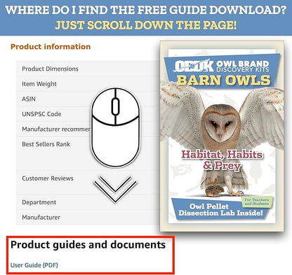 OBDK Barn Owl Pellets for Dissection - 1 Pack Medium Sized (1.5"-2.0") with Tools, Guide and Charts from Owl Brand Discovery Kits