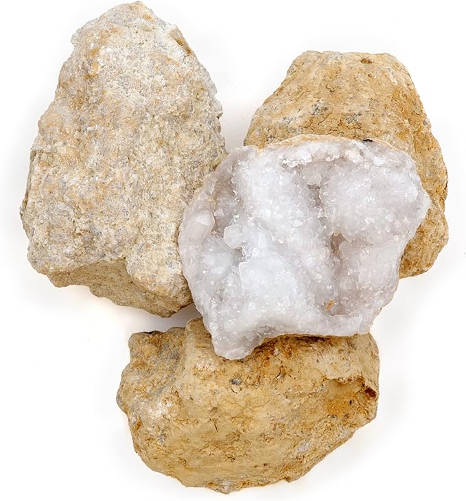 DANCING BEAR 25 Break Your Own Geodes, (Medium 1-1.5") 90% Hollow, Crack Open & Discover Amazing Surprise Crystals Inside! Educational Info and Instructions Included, Fun Party Favors & Prizes