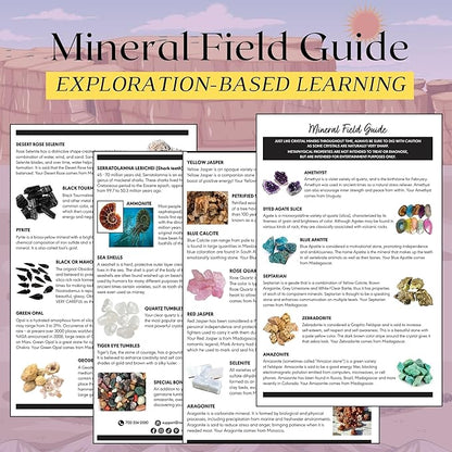 Gemstone Paydirt Geodes for Kids Break Open Science Kits for Kids Age 8-12 Shark Teeth Fossil Digging Kit for Educational Toys, Rock Collections for Mining Bucket Rock Collection