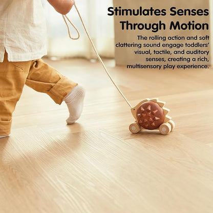 PlanToys Pull Along Hedgehog – Brown (5274)