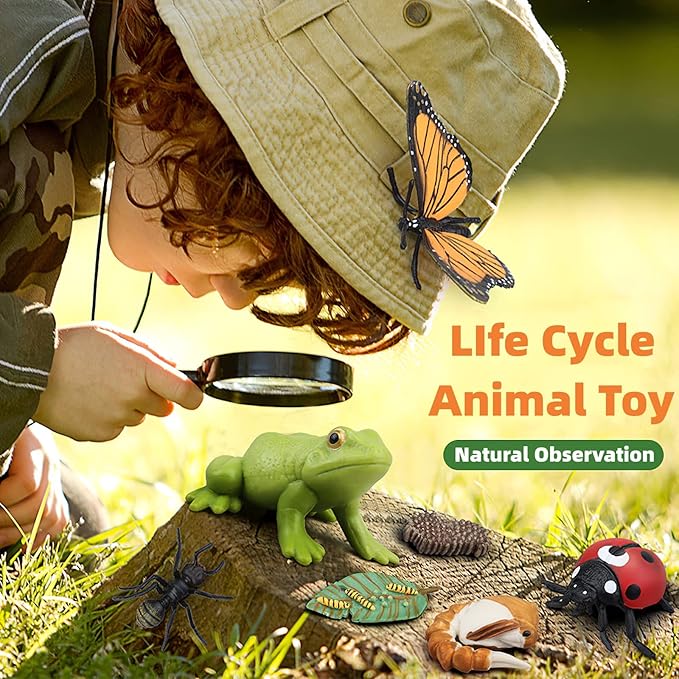 Montessori Life Cycle Animal Figures with Flash Cards, Realistic Animal Figurines Toy, Educational Matching Game for 3+ Year Old Toddlers Kids (Ant)