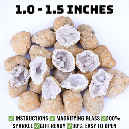 Break Your Own Geodes Kit for Kids – 20 Natural Geodes (1.0–1.5”) with Magnifying Glass & Learning Guide – STEM Science Rock Kit for Kids Ages 6–12 – Educational Gift for Classrooms & Parties