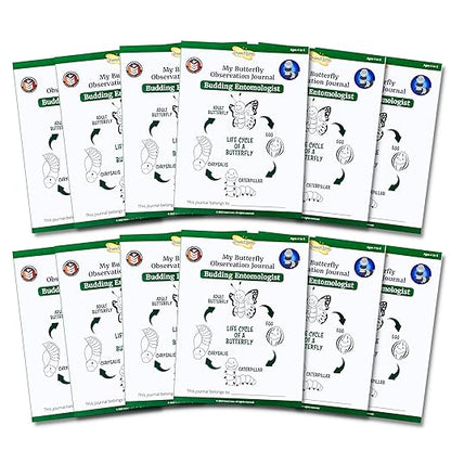 Insect Lore Budding Entomologist Activity Journals | 12 Journal Classpack | Ages 3-8 | Class Set of STEM Learning Booklets