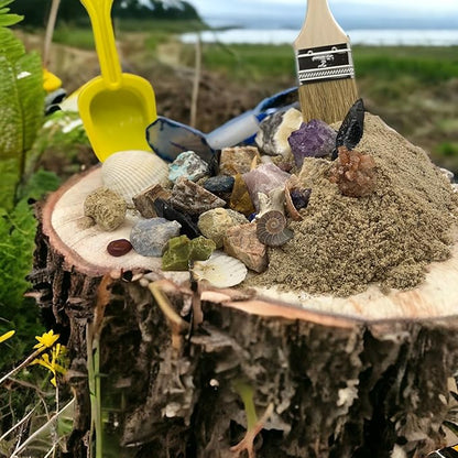 Gemstone Paydirt Geodes for Kids Break Open Science Kits for Kids Age 8-12 Shark Teeth Fossil Digging Kit for Educational Toys, Rock Collections for Mining Bucket Rock Collection