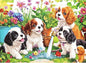 300 Pieces Cute Dogs Puzzles for Adults,Large Pieces Puzzle for Teens Seniors,Fun Puzzles 300 Piece for Kids Ages 8-10 10-12,Challenging Jigsaw Puzzle for Family,Great Gift for All Ages,20.5 x 15 in