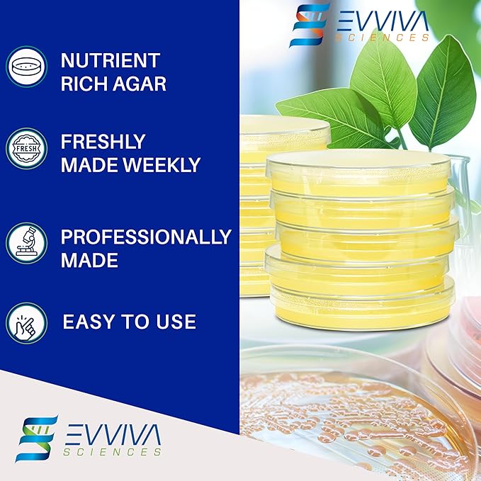Evviva Sciences Nutrient Agar Petri Dishes Science Project Kit, Pre-Poured Agar Plates for Science Experiments, with Experiment eBook (Yellow)