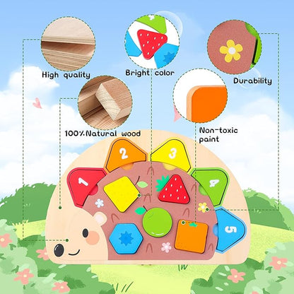 Montessori Toddler Puzzle Toys Shape Sorter Puzzle for 3-5Year Old Boys and Girls Educational Toy with Numbers and Colors