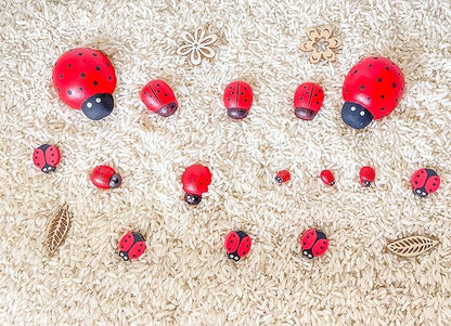 Kids Sensory bins Montessori sensory bin, sensory toys, Sensory bins, Sensory Bin For Preschoolers (Ladybug)