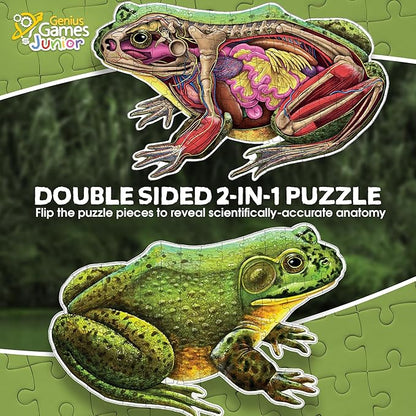 Bullfrog Animal Anatomy Floor Puzzle | 100-Piece Double Sided Jigsaw Puzzle | Large-Sized, Over 4 Feet Scientifically Accurate Illustration of Frog - Fun and Educational Toy for Kids, Toddlers