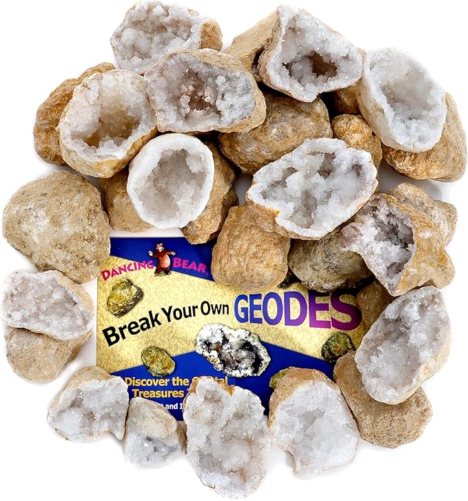 DANCING BEAR 25 Break Your Own Geodes, 90% Hollow, (Large 1.75-2.5") Crack Open & Discover Amazing Surprise Crystals Inside! Educational Info and Instructions Included, Fun Party Favors & Prizes