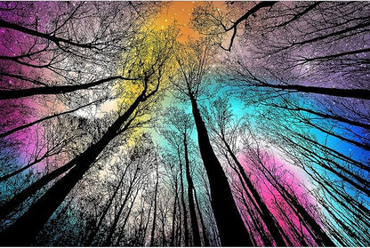 Bgraamiens Puzzle-Forest Under Starry Night-1000 Pieces Gradient Magic Colorful Puzzle for Adult,Hard Challenge Puzzle for Adult