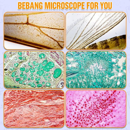 Handheld Portable Pocket Microscope for Kids - BEBANG Mini Lab Kids Microscope with 5 Prepared Slides LED Portable Microbiological Observation Miniscope Tool for Science Exploration