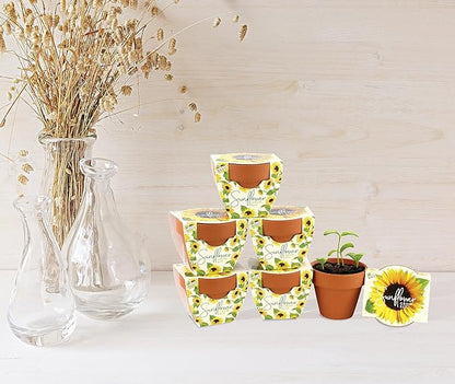 BUZZY Seeds Sunflower Daydream Collection 6-Pack Mini Terracotta Grow Pots, Includes Seed Packets and Growing Medium, Flower Starter Kit for Kids and Adults, Indoor Gardening Gift, Wedding Favors