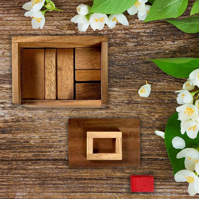 Difficult Puzzle for Adults - Hide The Red Stone Wood Puzzle - 9 Piece Brain Teaser