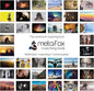 metaFox ‘World of Emotions’ Coaching Cards | 52 Emotion Picture Cards for Coaching & Therapy | Master Your Emotions & Build Emotional Intelligence