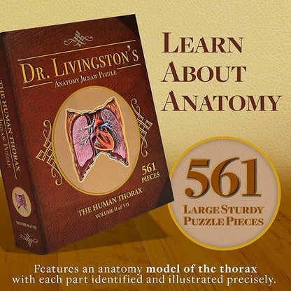 Human Thorax Anatomy Puzzle - Adult Jigsaw Puzzles Unique Gifts for Kids, Nurses, Doctors, Medical Students, Educational Science - 411 Piece Teen Floor Puzzle - Genius Games Dr. Livingston Body Model