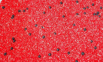 Kids Sensory bins Montessori sensory bin, sensory toys, Sensory bins, Sensory Bin For Preschoolers (Ladybug)