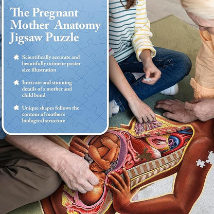 Pregnant Mother Anatomy Jigsaw Puzzle | 488-Piece Science Accurate Adult Puzzle | Educational and Entertaining 3ft x 2ft Poster Size Puzzle | Ideal Gift for Mothers, Educators & Medical Professionals