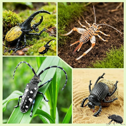 Toymany 12PCS Realistic Insects Figurines Toys - Plastic Bugs Figures Set with Cricket Bee Ant Dung Beetle, Educational Toy Cake Toppers Christmas Birthday Gift for Toddlers Kids